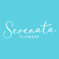 serenata flowers